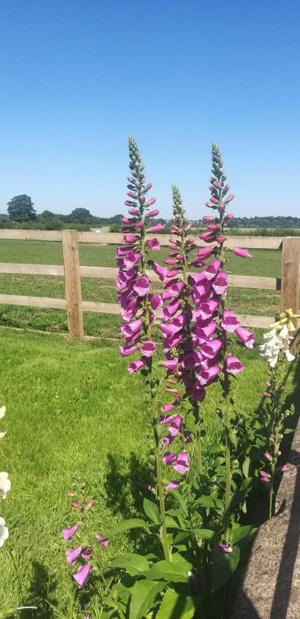 Bed & Breakfast Burton Grange Boroughbridge