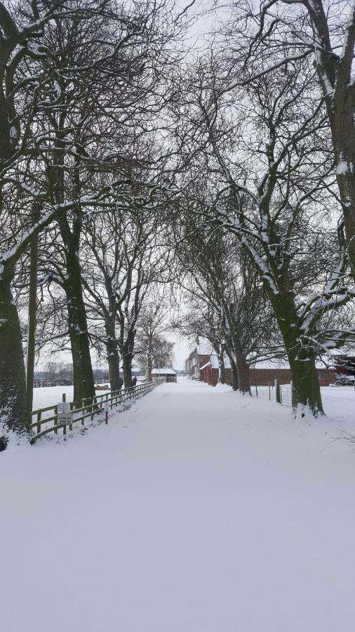 Bed & Breakfast Burton Grange 4*